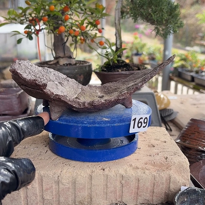 21x11花盆169///////