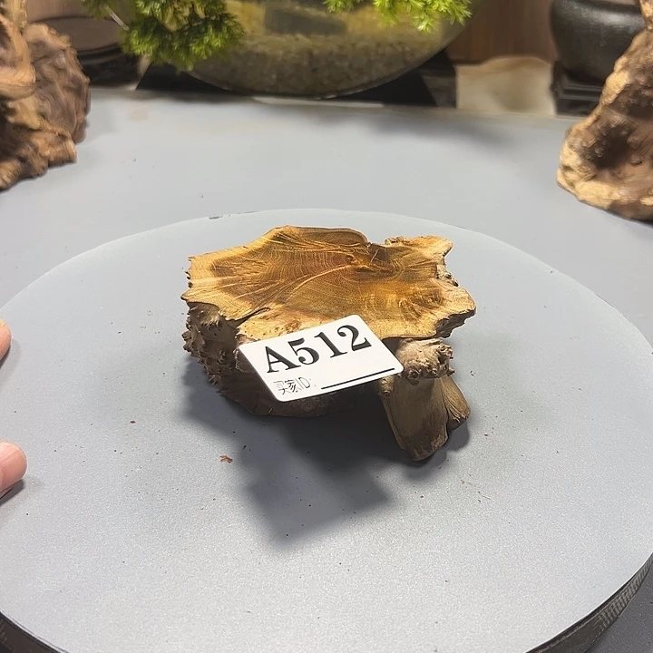 小***子大果紫檀（缅甸花梨）