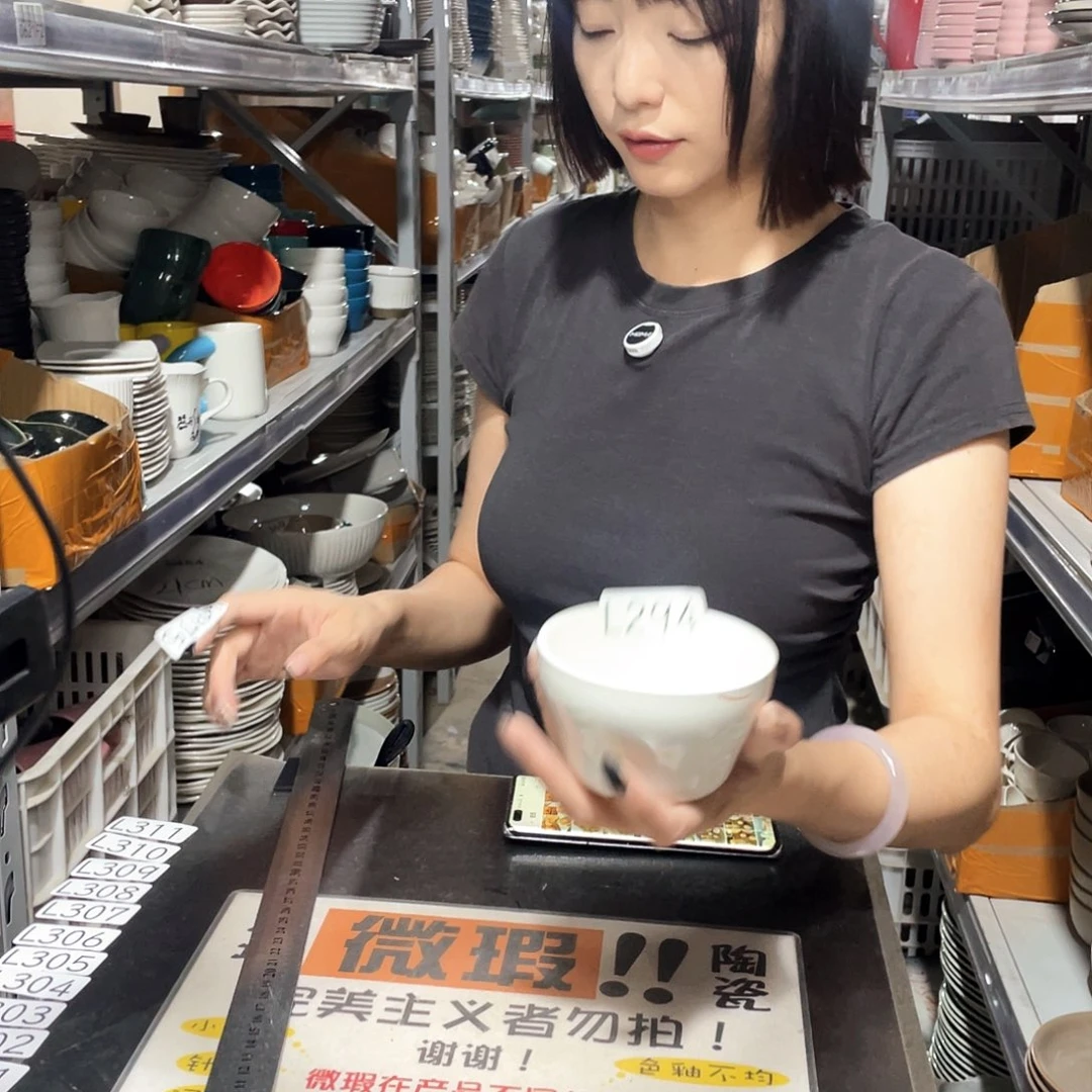 瓷片294            6个