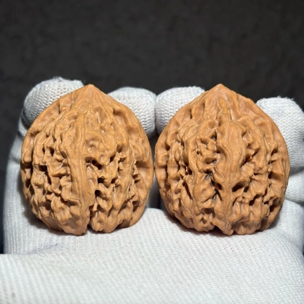 【权铭核舍】野牛·一物一图·40-39-43·全品无修文玩核桃