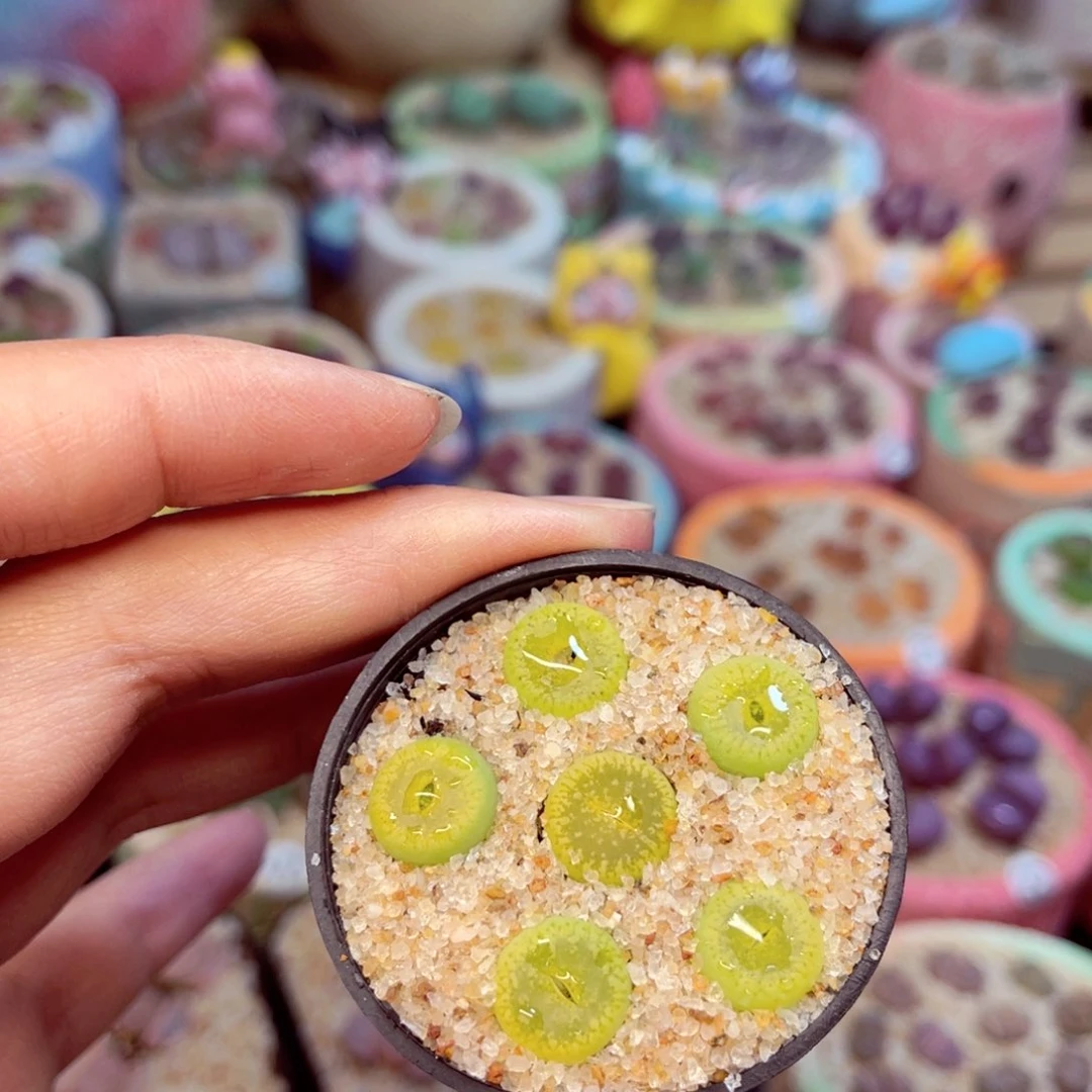 152。8888888888888888888