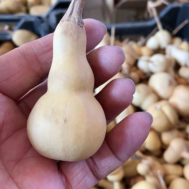 魏hi jo jv hio k j shd j d