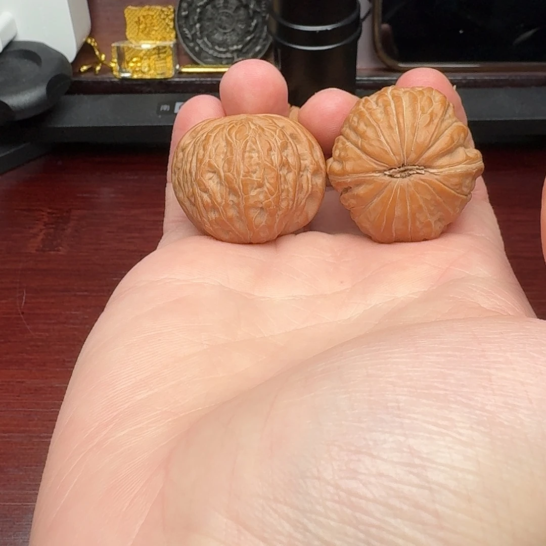 全品红皮满肉爆肉铁锤妹妹35