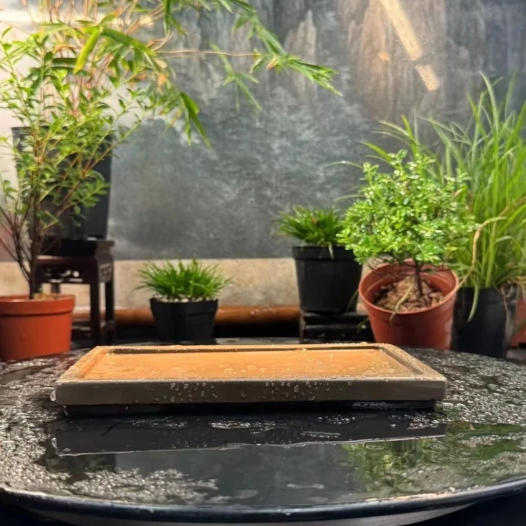 直播间（独家）定制尺寸加厚高级棕咖色浅盆长20cm宽12cm高1.8cm