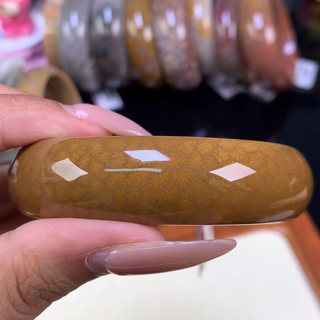 【闪购商品】颈饰未镶嵌硅化珊瑚（珊瑚玉）16号57.2