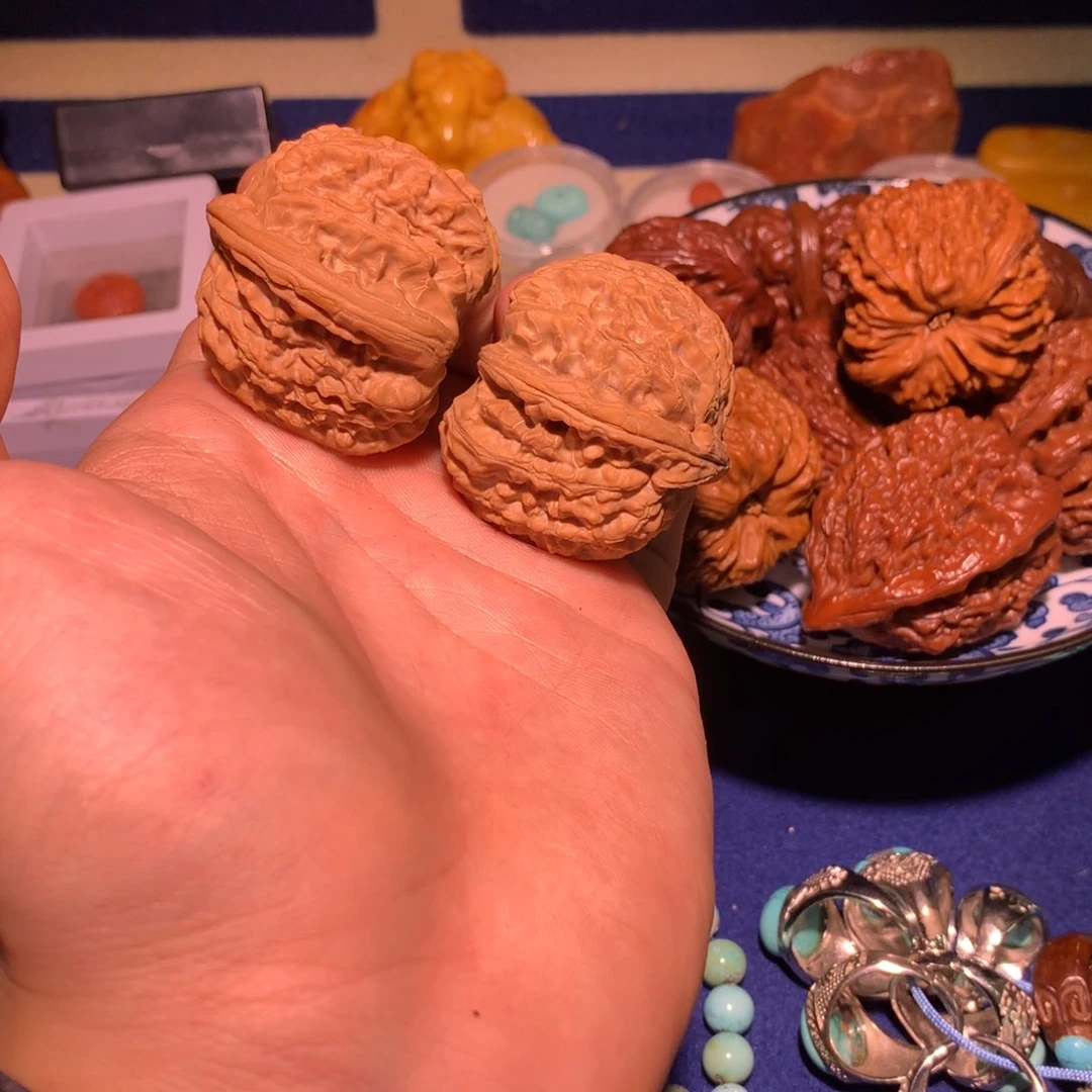 白狮子37尺寸22222