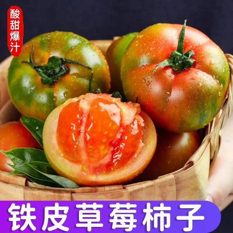 【高升蔬菜农场】铁皮草莓西红柿新鲜番茄同城配草莓番茄天津市