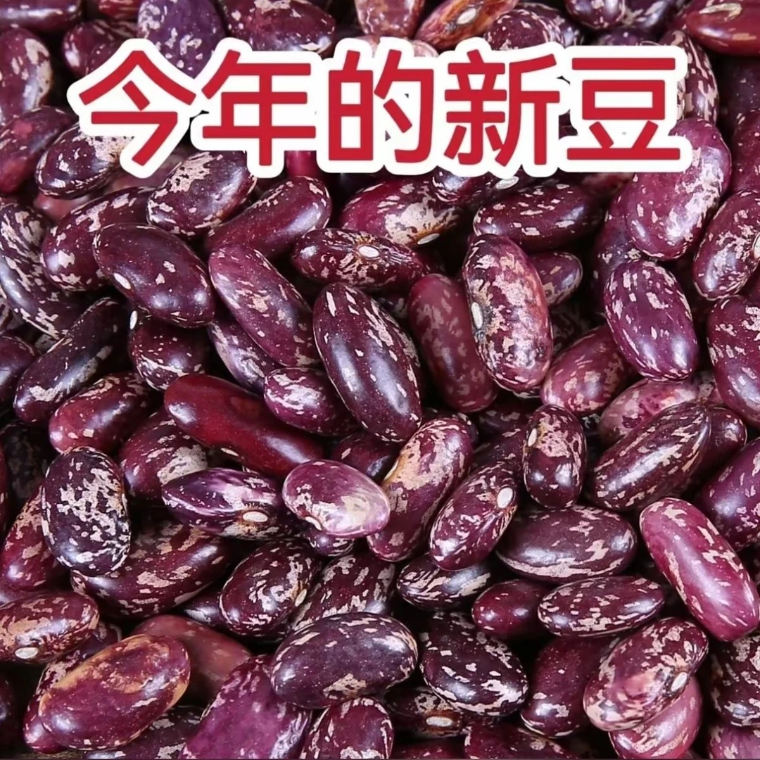 新货紫花新豆饭豆芸豆花豆四季豆豆子五谷杂粮豆米酸菜红花贵州豆