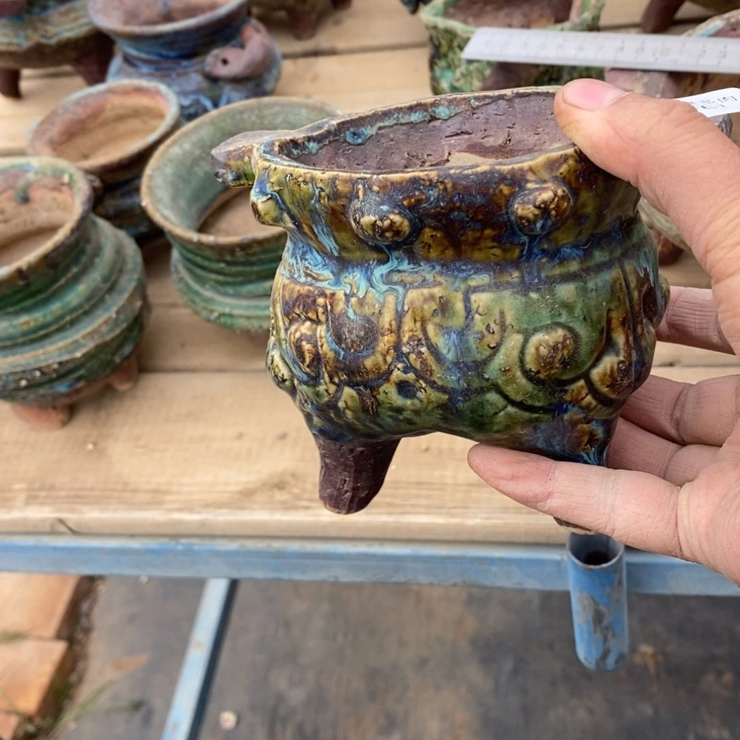 红陶嫣*61号多肉盆一个呀