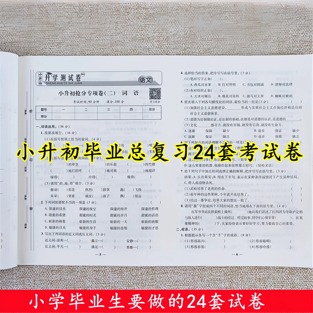 小升初真题卷六年级母题必刷题小升初毕业总复习小升初24套测试卷