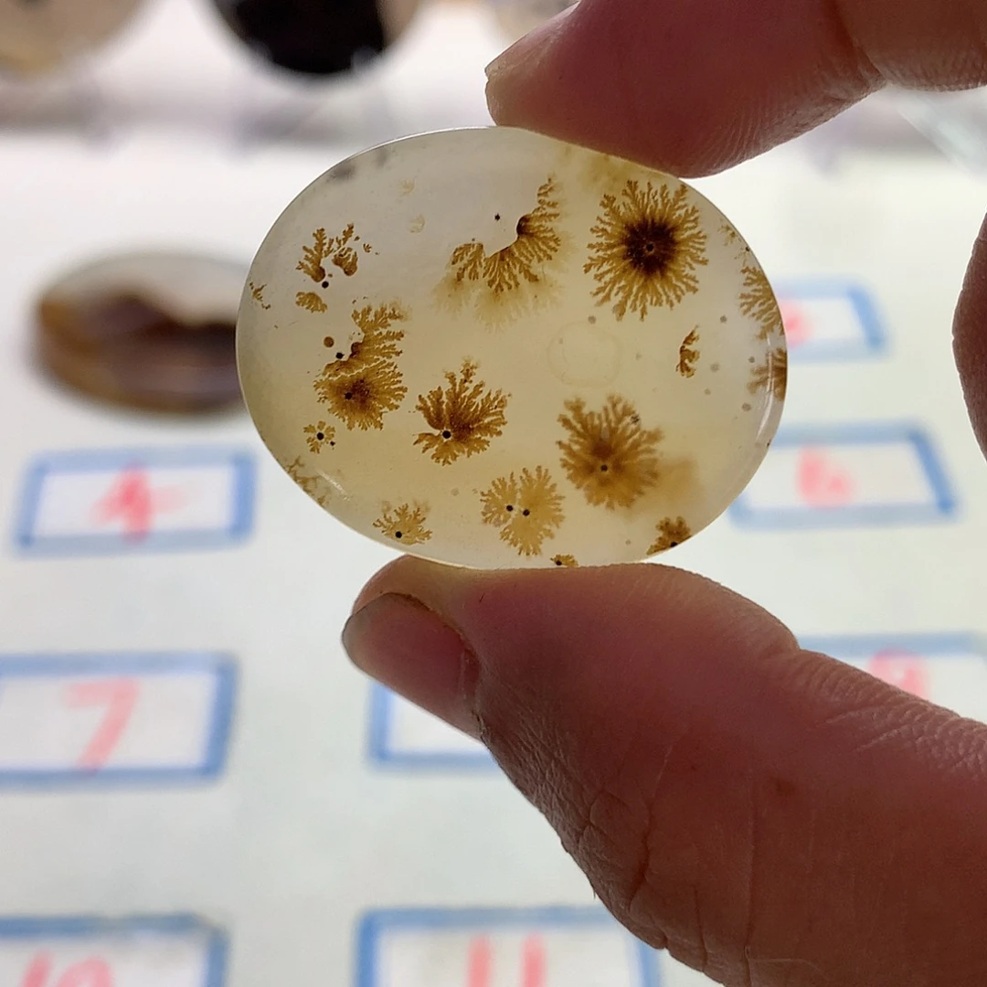 未镶嵌玛瑙/玉髓珠宝半成品