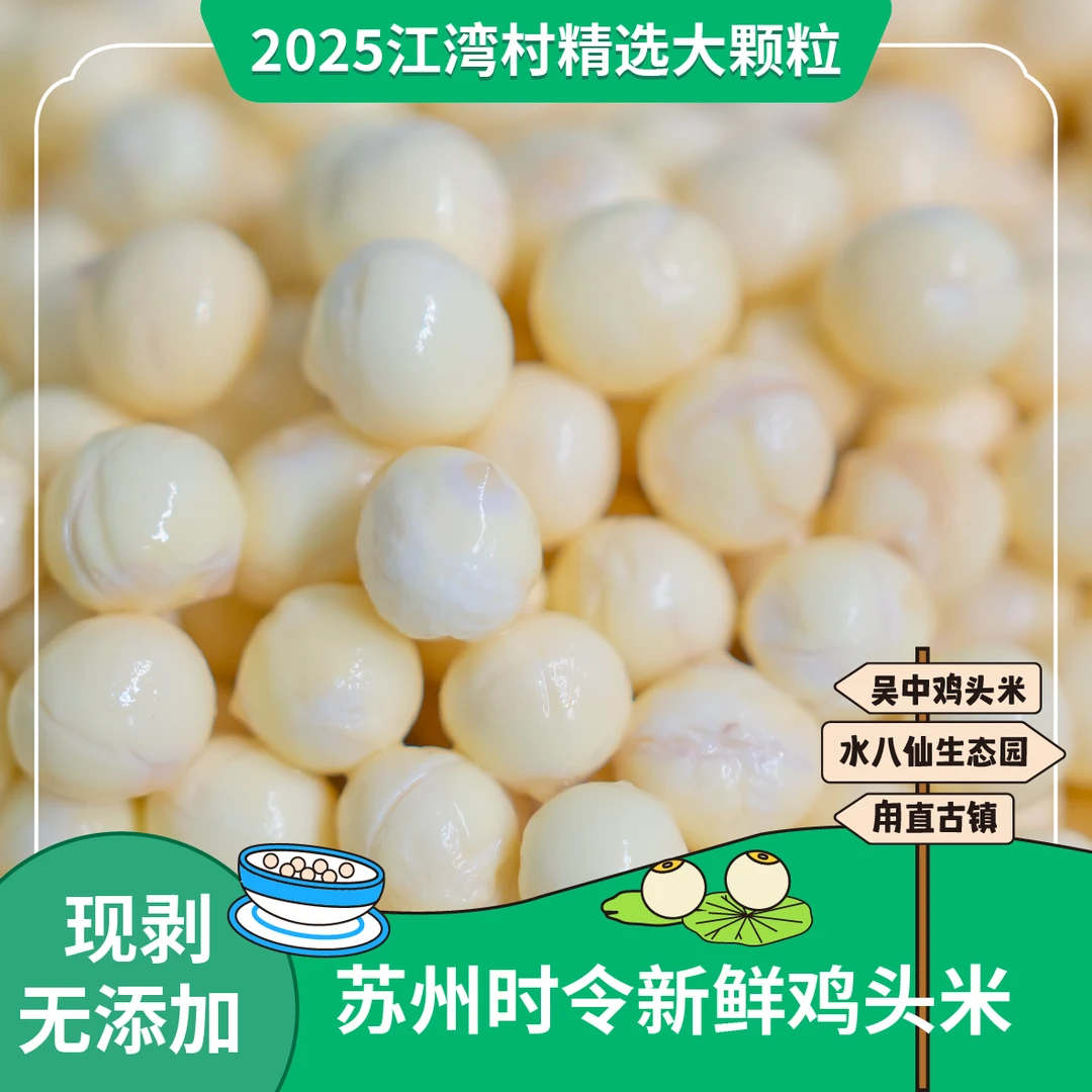 2025江湾村苏州时令新鲜鸡头米到手一斤鸡头米