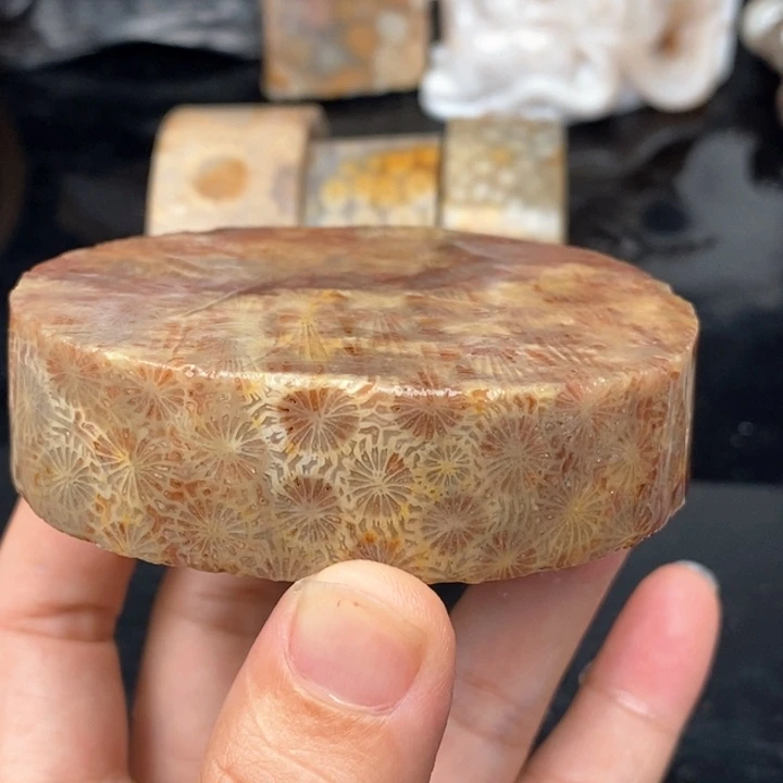 硅化珊瑚（珊瑚玉）手镯未镶嵌