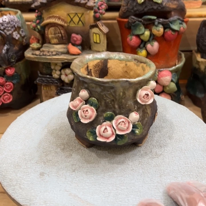 陶然多肉花盆百搭