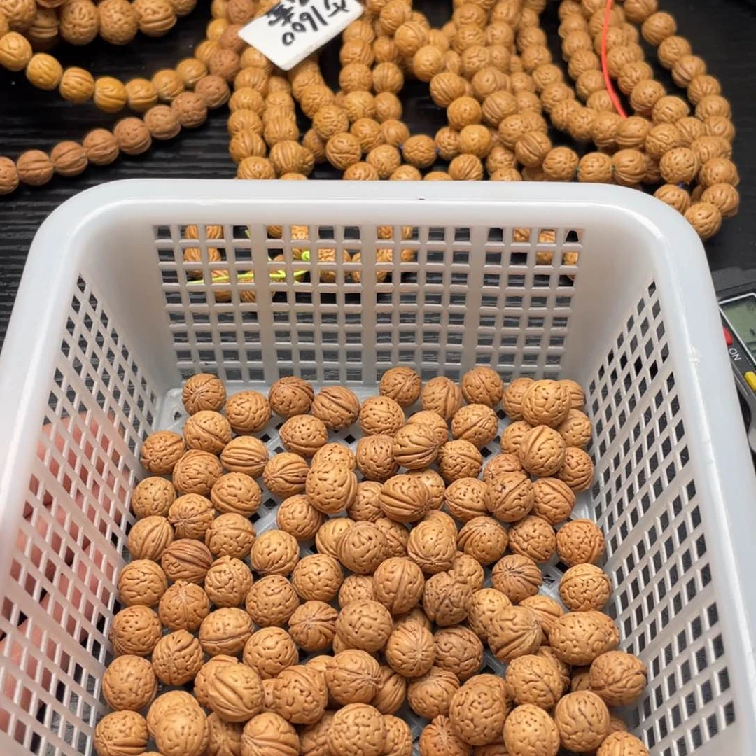 【闪购商品】山*?散子发货50米