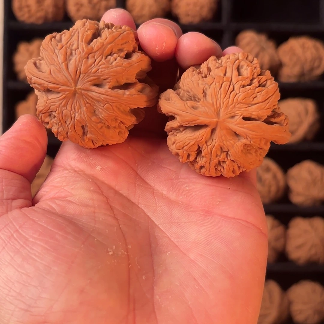 核桃手串/手链5555555