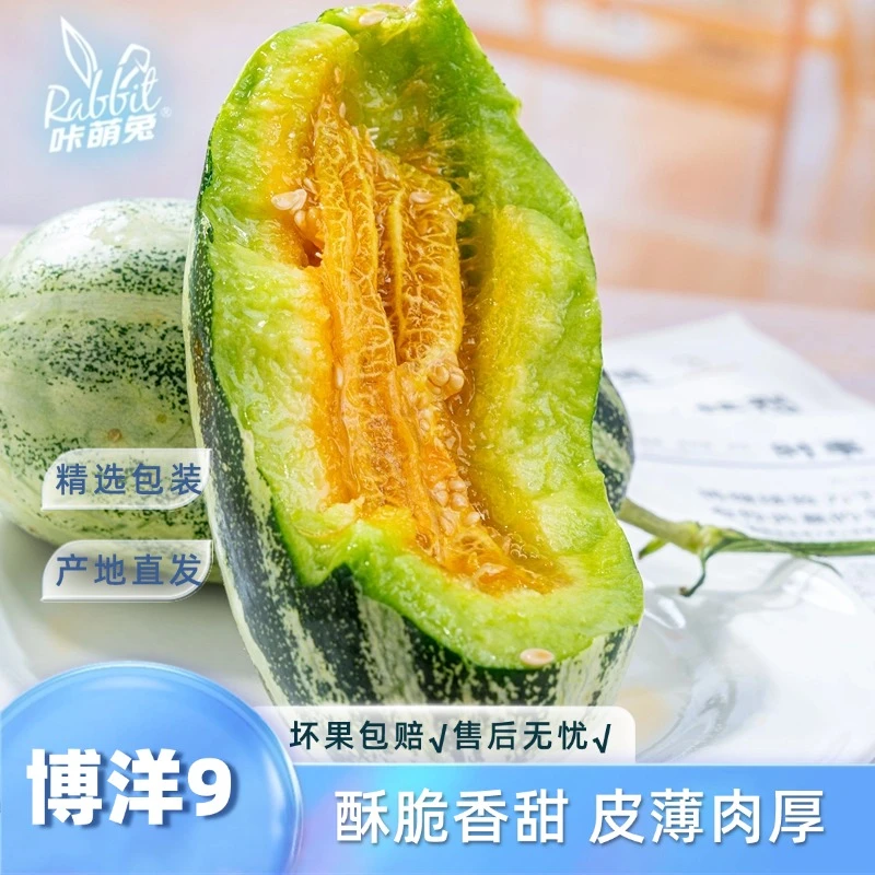 【咔萌兔】正宗山东博洋9号甜瓜3斤4.5斤彩箱产地直发当季新鲜水果