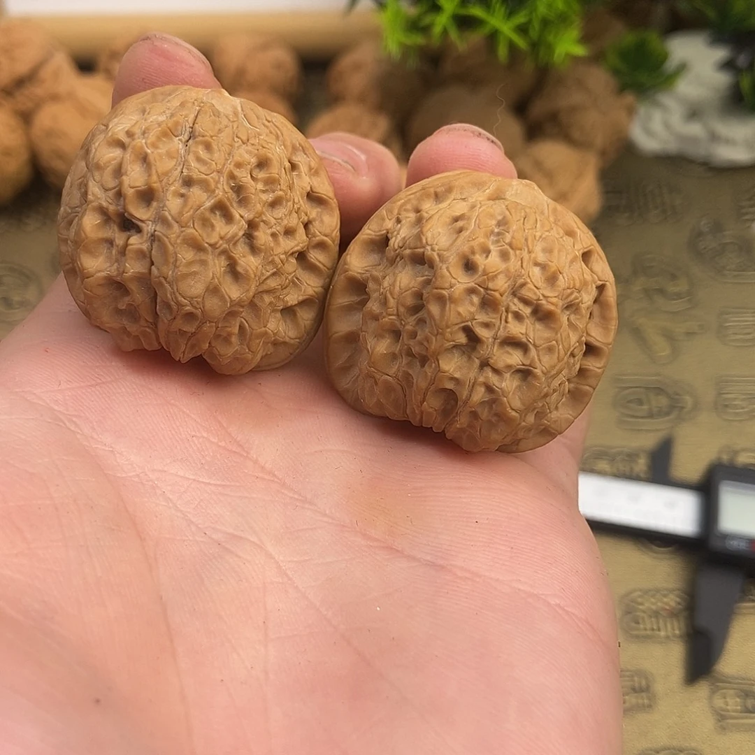 核桃血麒麟36尺寸编号994尖微磕走色血红色