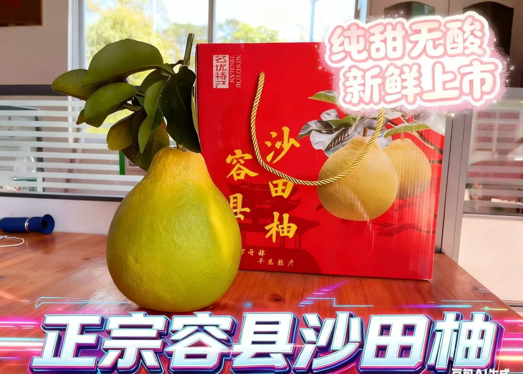 【容县融媒专属】广西容县沙田柚新鲜采摘礼盒装