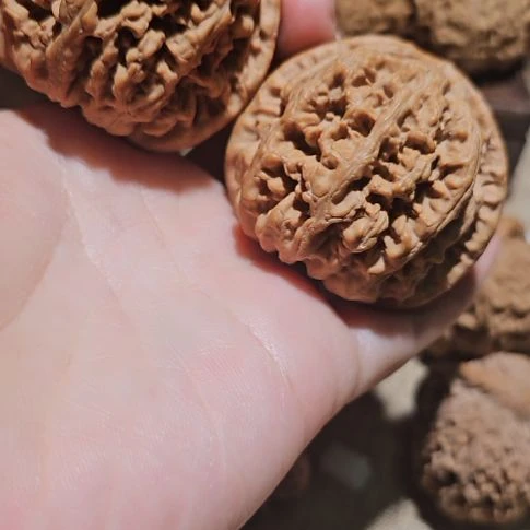 吊坠文玩核桃48.5粗筋