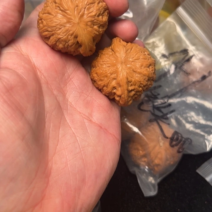 核桃小*杜铁锤，40，已打底