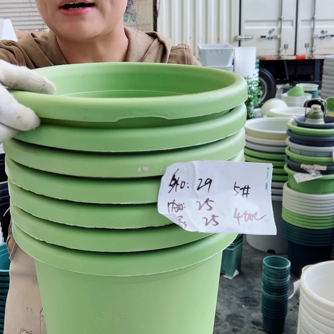 四季盆5#果绿色6个无托