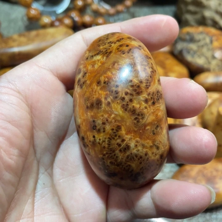 柏木（崖柏）其他把