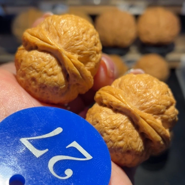 铁锤妹妹核桃尺寸36