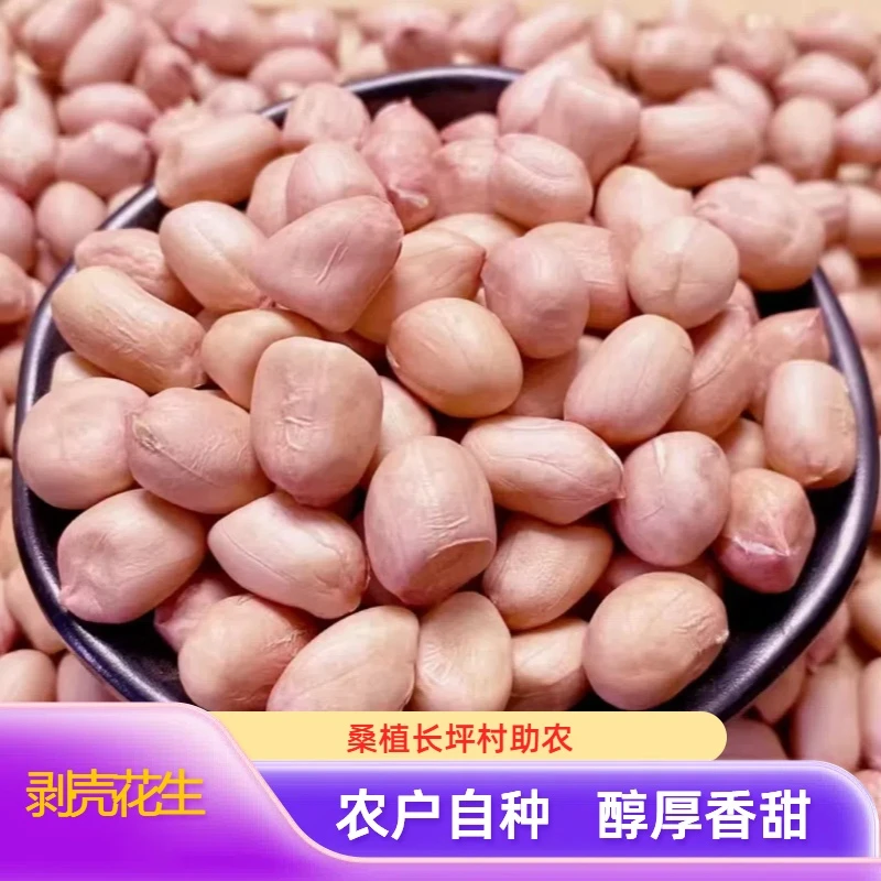 【青峰助农】农户自种剥壳花生 长坪农货