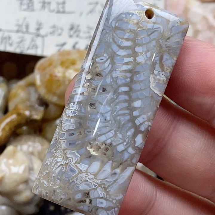 颈饰未镶嵌硅化珊瑚（珊瑚玉）