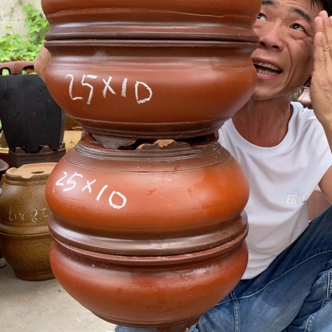 紫砂紫砂紫砂紫砂