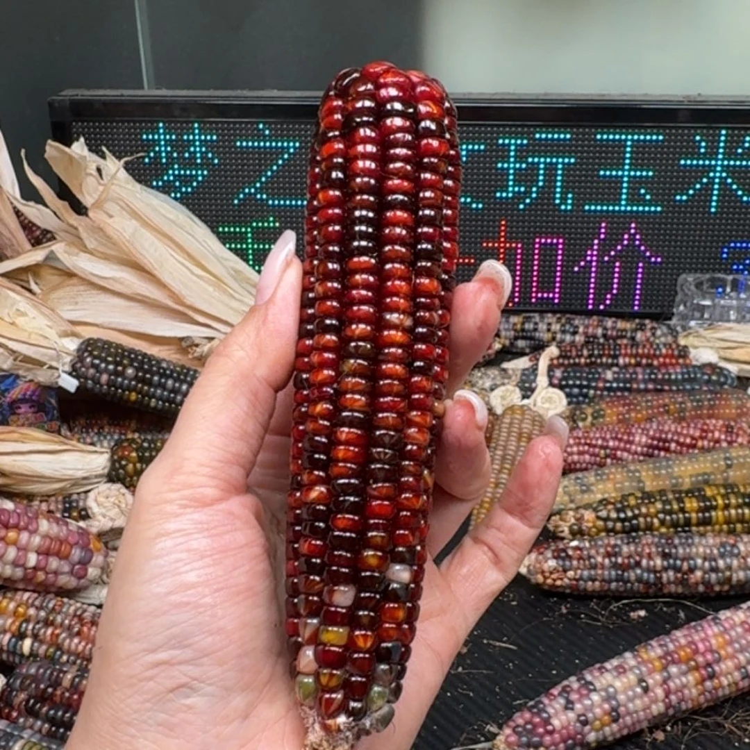 柏香籽/百香籽吊坠放****)