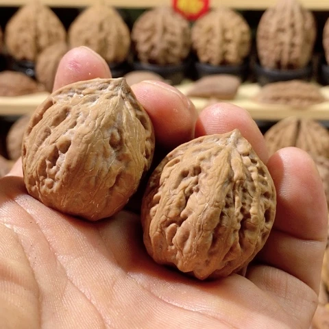 文玩核桃把件L***r核桃