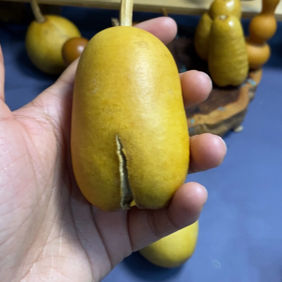 好*哥哈哈哈哈哈哈哈