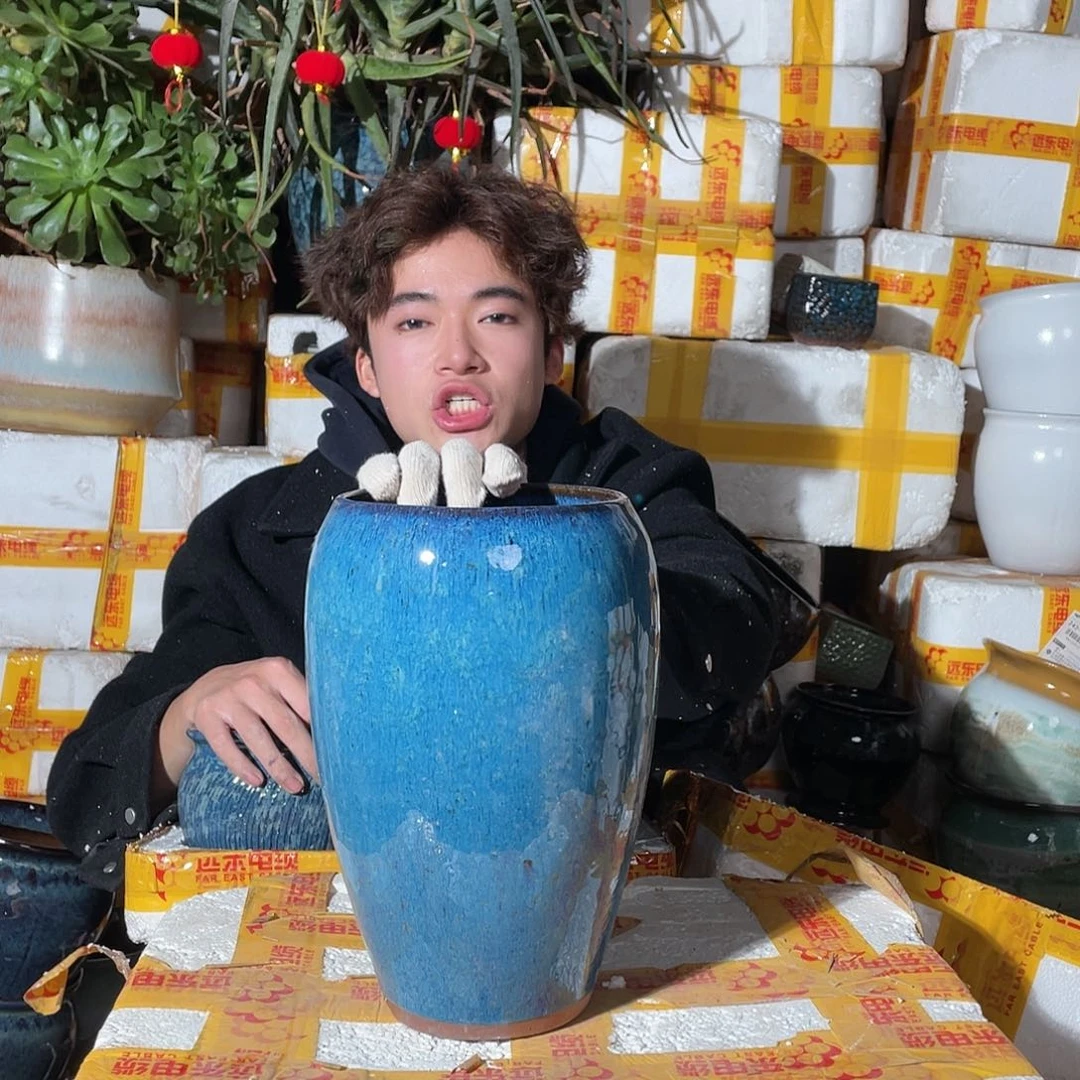 无铅玻璃宜兴紫砂花盆