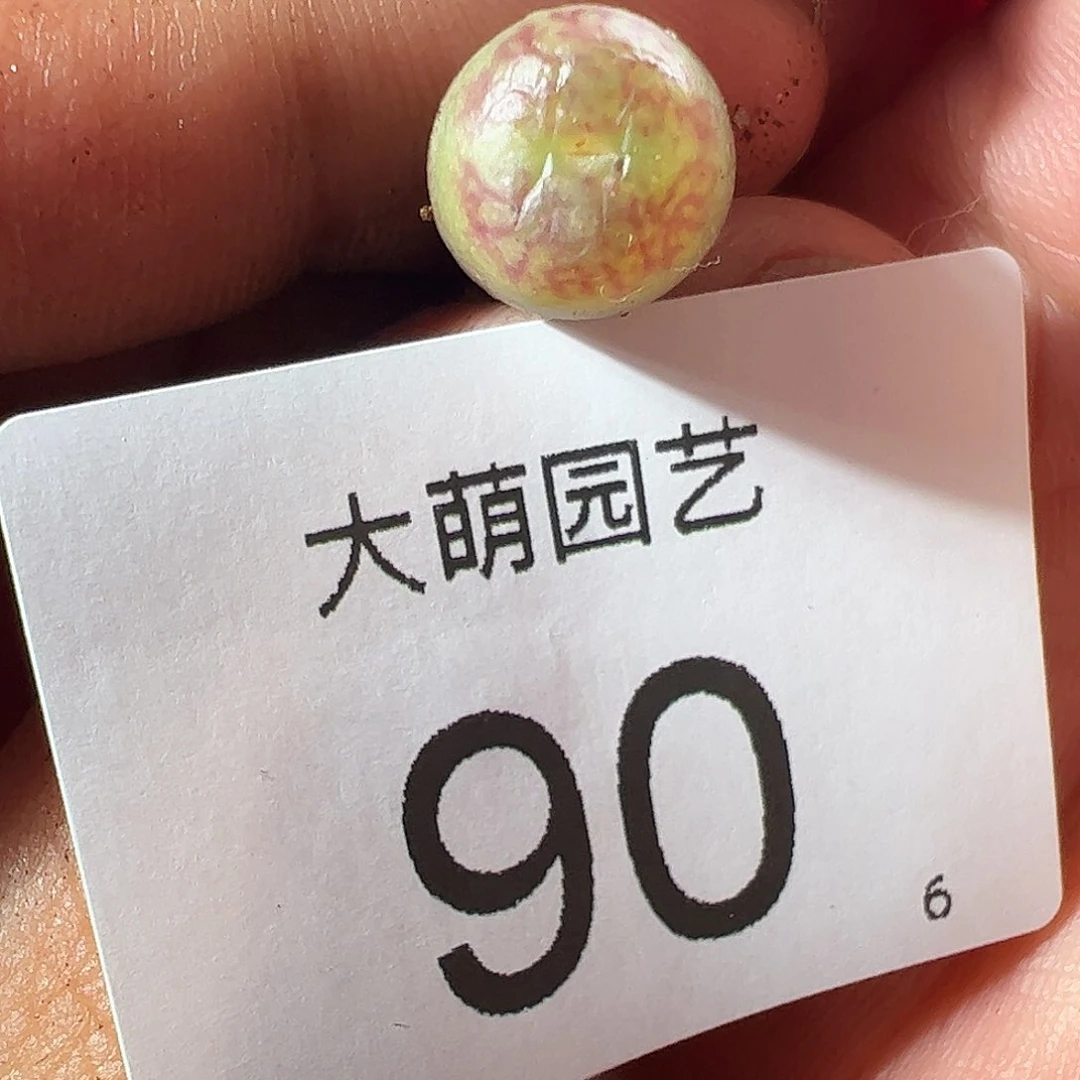 000090 一物一拍……