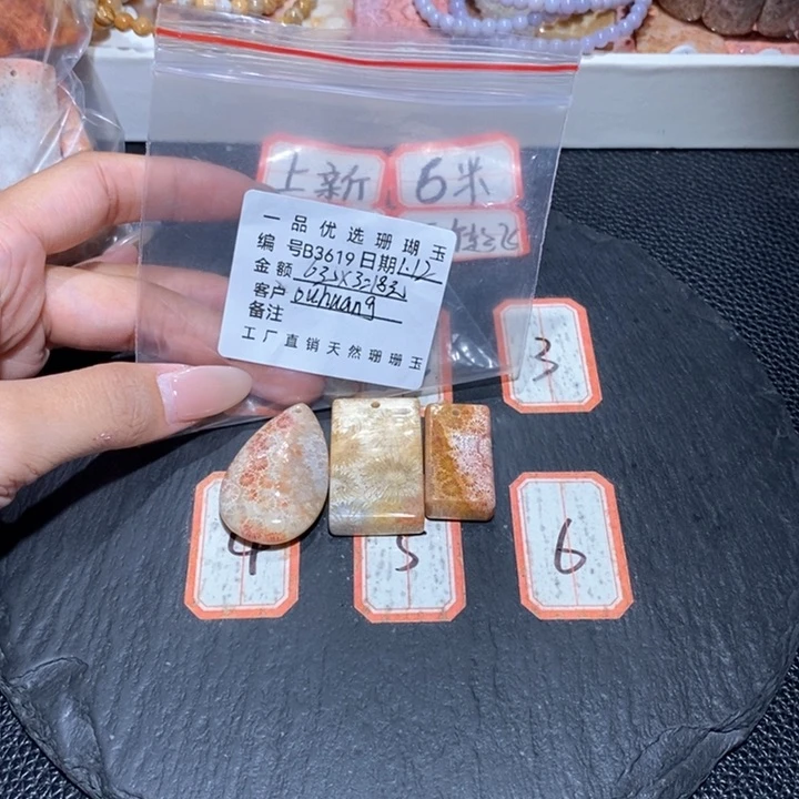 硅化珊瑚（珊瑚玉）颈饰合金O****g3619