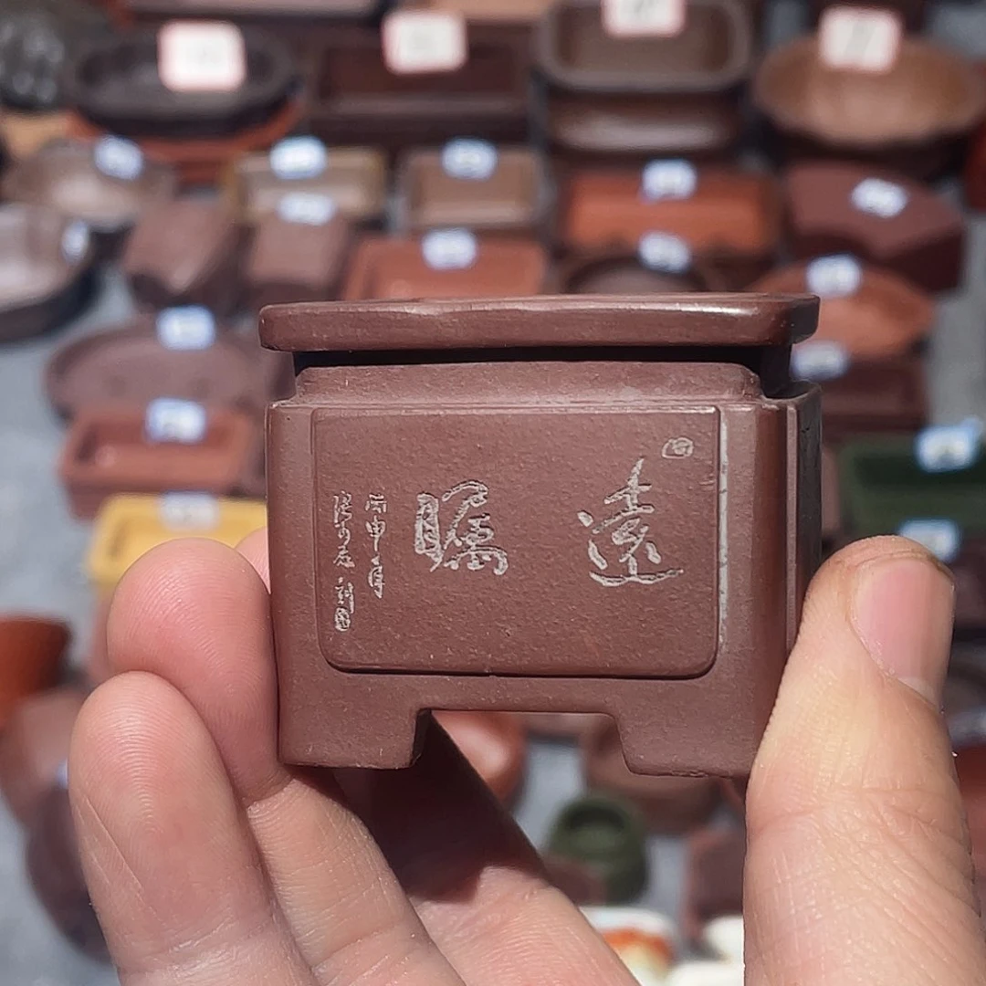 紫砂冬*紫砂小盆微瑕4*3