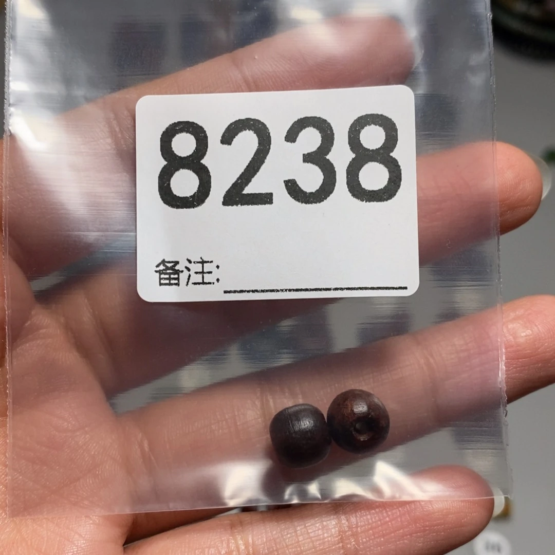 颈饰未镶嵌透闪石质玉懒*