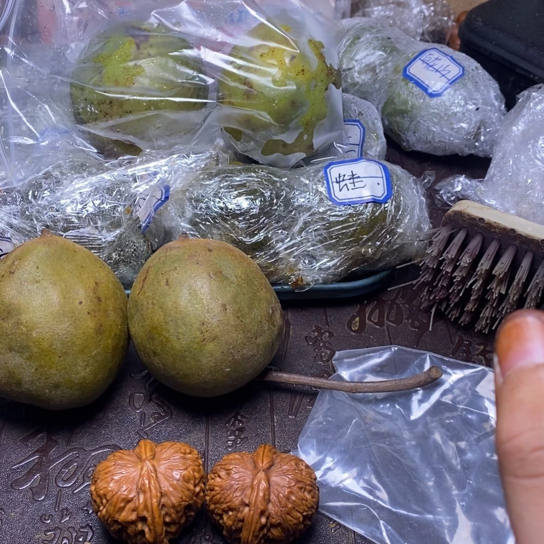 zwf产地直发白狮子30