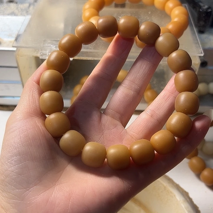 手串菩提根/象牙果