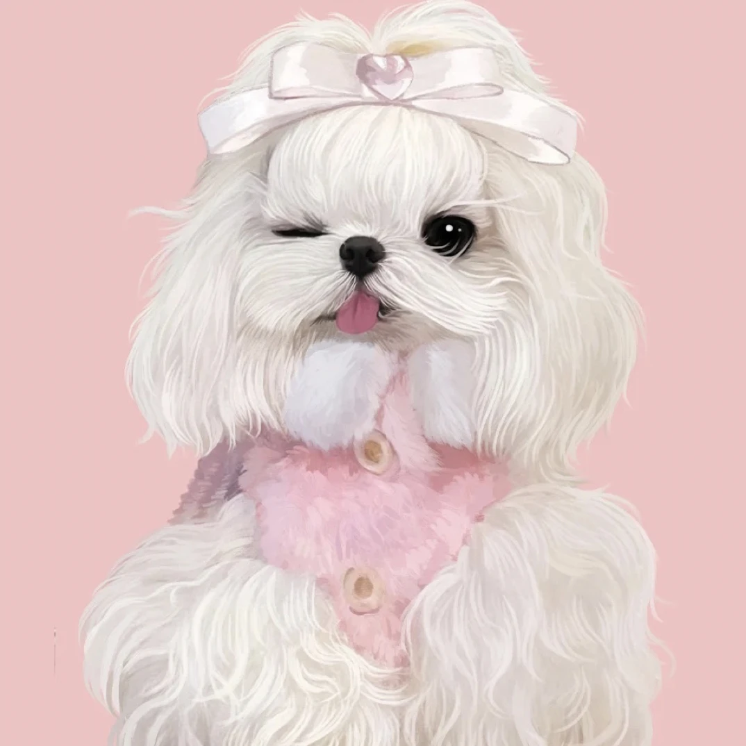 四季款小型犬衣服No退No 换
