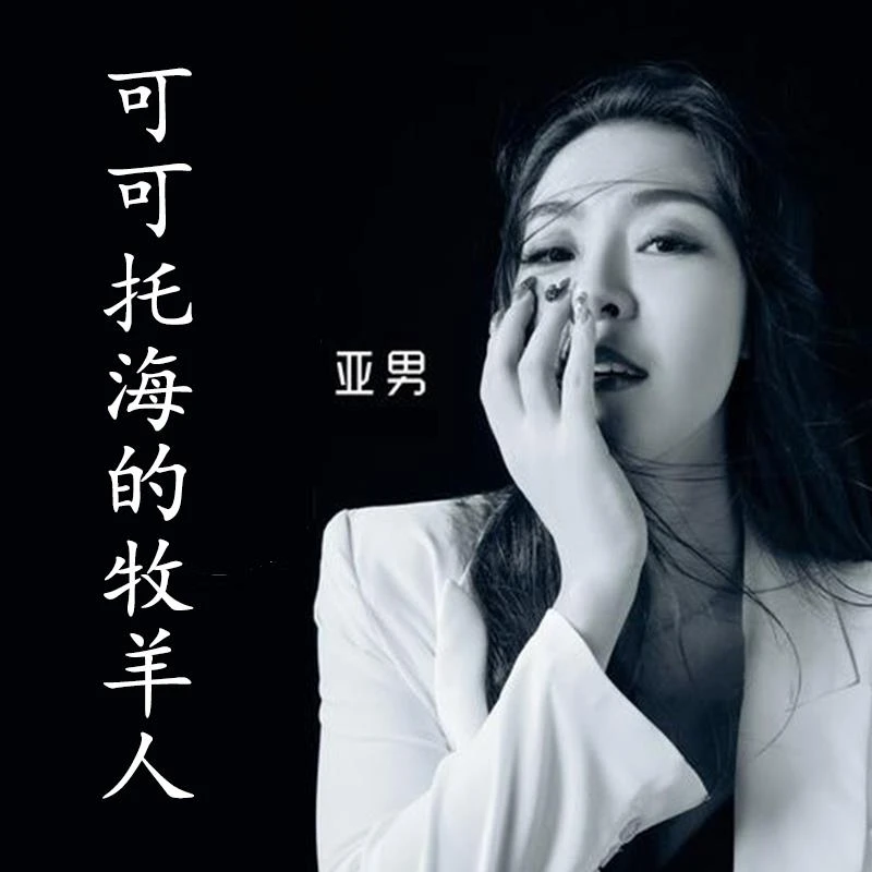 亚男CD专辑 可可托海的牧羊人 网络红人流行歌曲 车载音乐光盘2碟