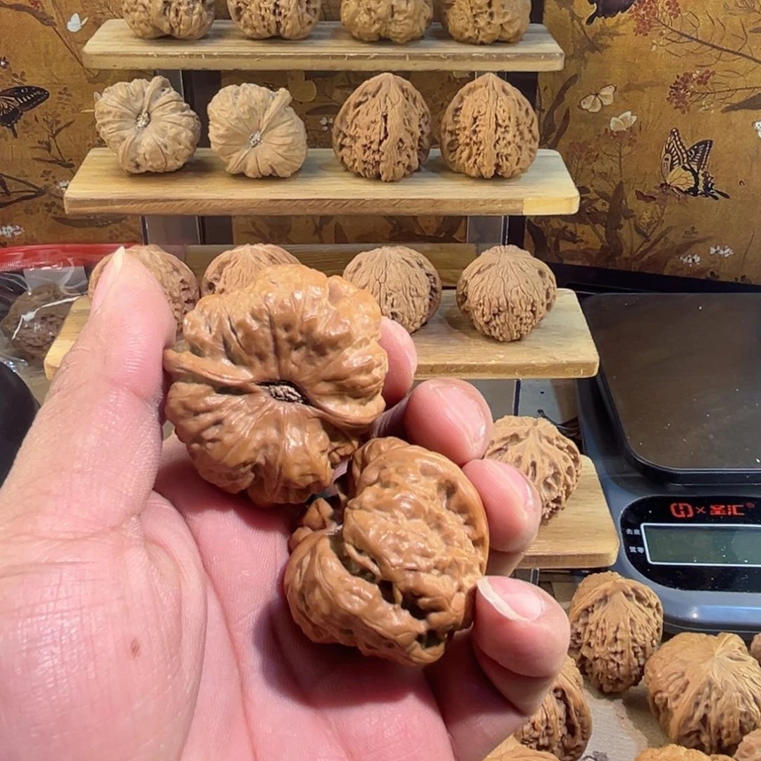 把件文玩核桃学***核