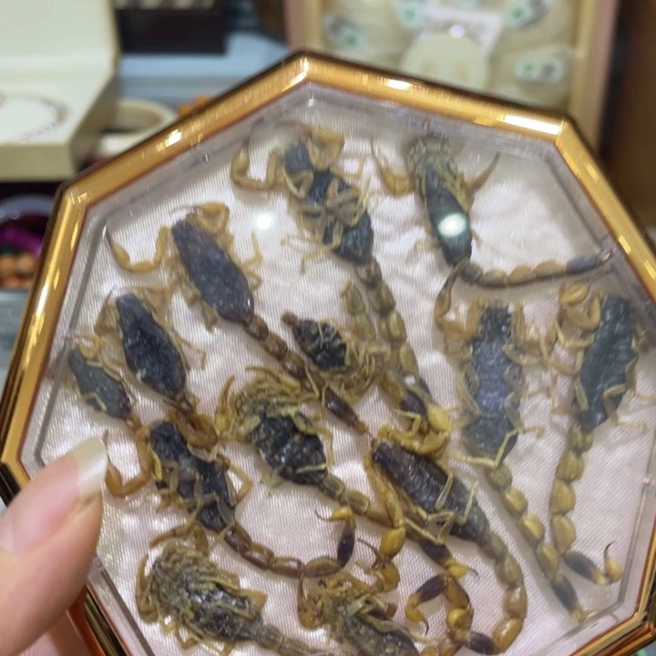 紫砂啦啦啦啦啦啦啦啦la
