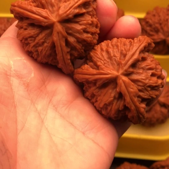 核桃核桃核桃核桃核桃