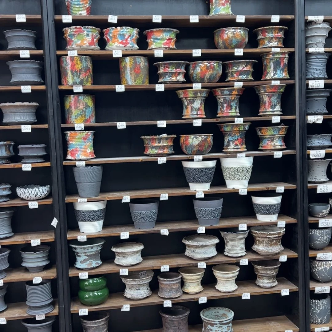 有喜欢的把编号打在公屏