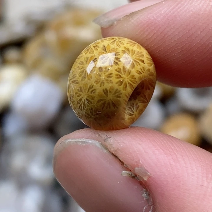 颈饰未镶嵌硅化珊瑚（珊瑚玉）小