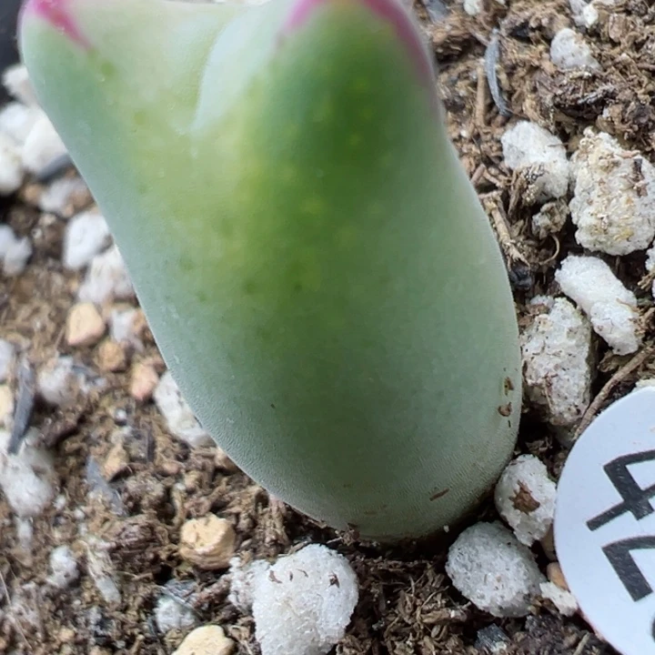 t****破428，427号111111111111