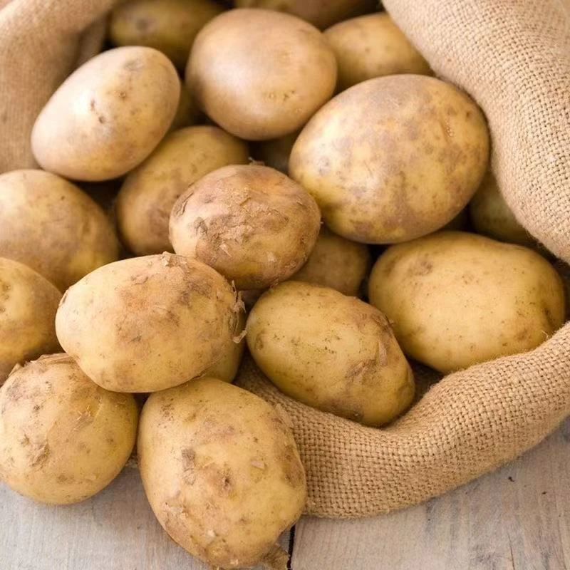 [农家马铃薯] 农家自种土豆